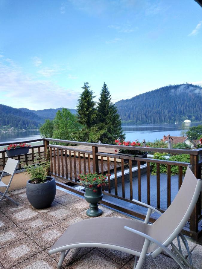 Le Manoir Au Lac Gérardmer Esterno foto