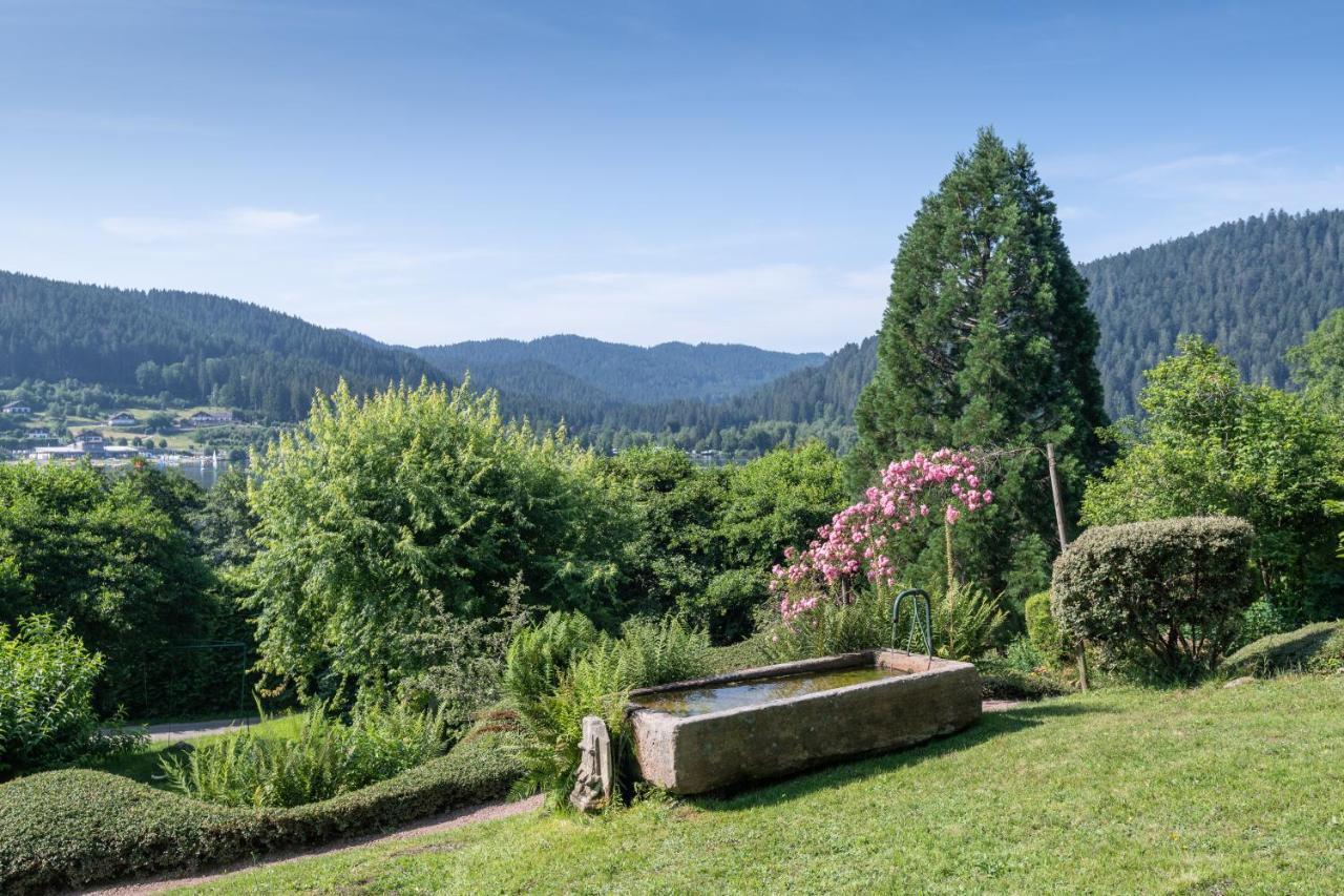 Le Manoir Au Lac Gérardmer Esterno foto