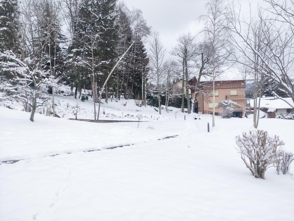 Le Manoir Au Lac Gérardmer Esterno foto