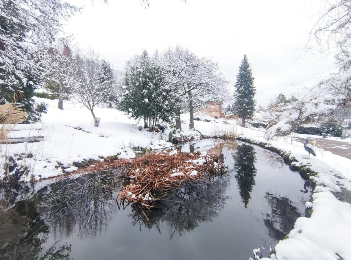 Le Manoir Au Lac Gérardmer Esterno foto