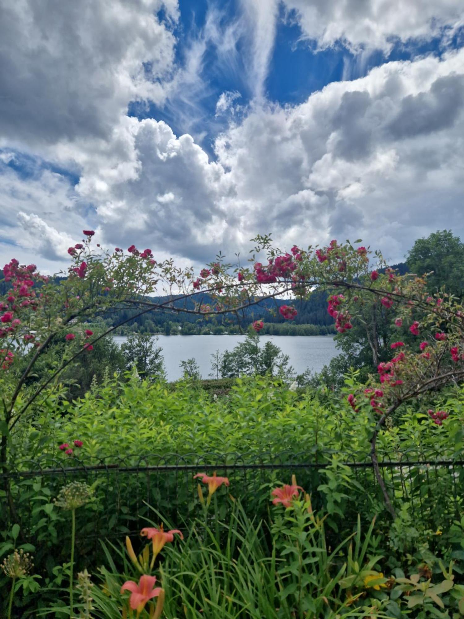 Le Manoir Au Lac Gérardmer Esterno foto