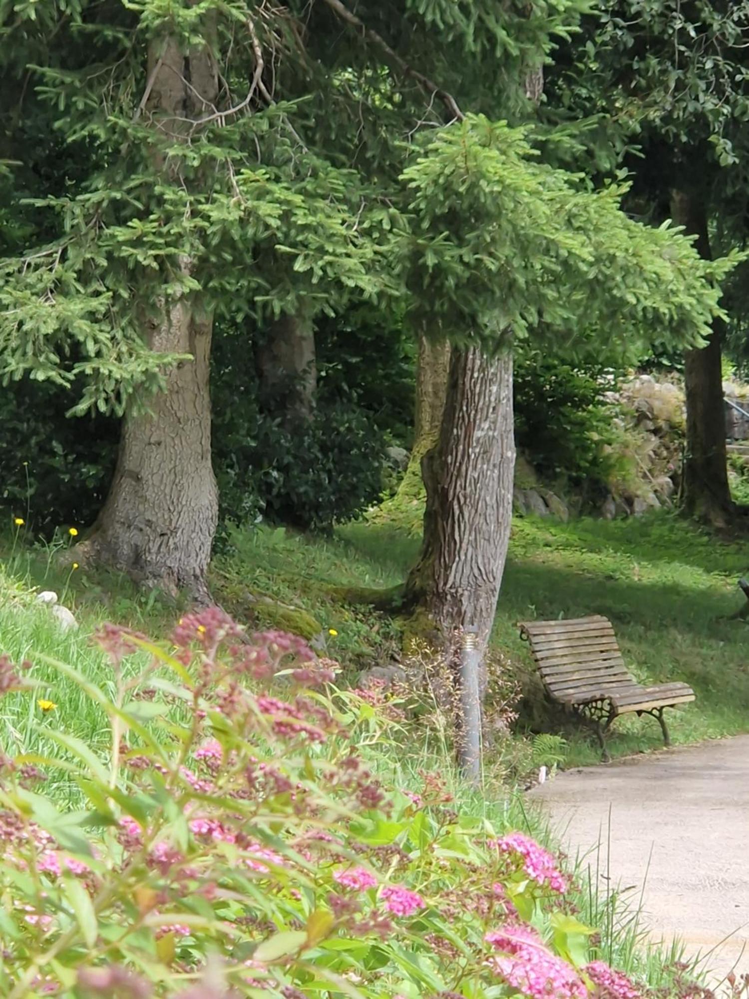 Le Manoir Au Lac Gérardmer Esterno foto